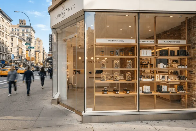 New Yorker Cannabis-Firmen: Hohe Gehälter, mangelnde Profitabilität