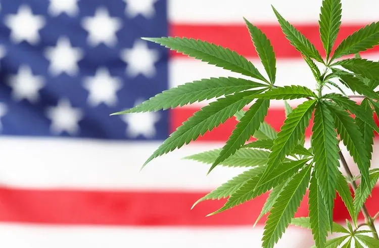 In diesen 6 US-Bundesstaaten können Wähler 2022 Cannabis legalisieren