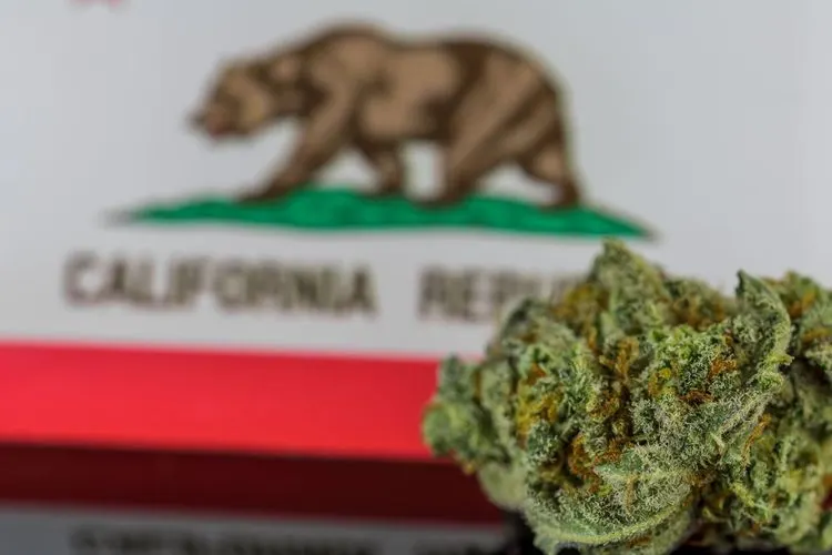 Kalifornias Cannabis Equity Alliance will mehr Soziale Gerechtigkeit