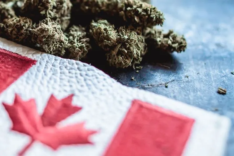 Cannabisverkäufe bleiben im Februar stabil