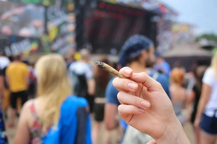 Höherer Marihuana-Konsum in US-Bundesstaaten, die den Freizeitkonsum von Cannabis legalisiert haben