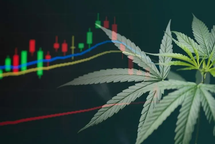 Canopy Growth-Aktien brechen ein